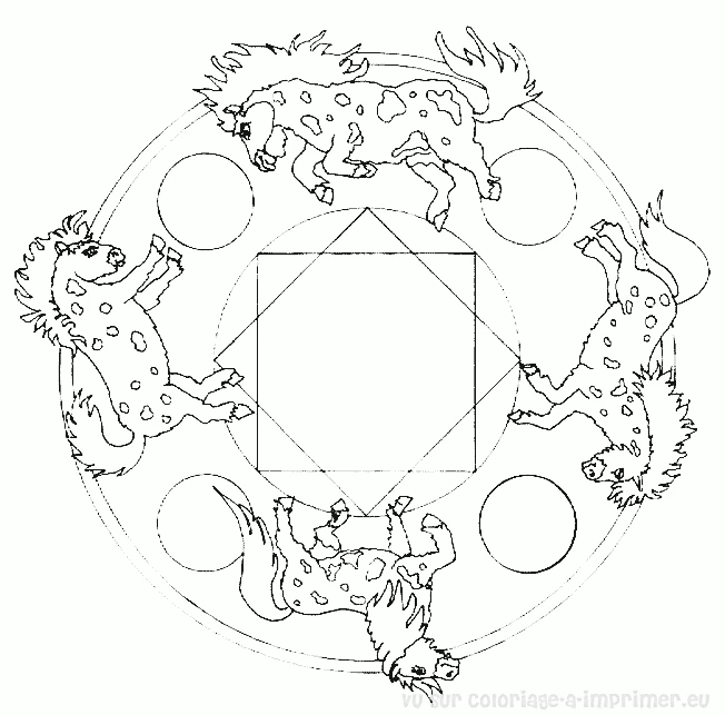 Mandalas Animaux 155